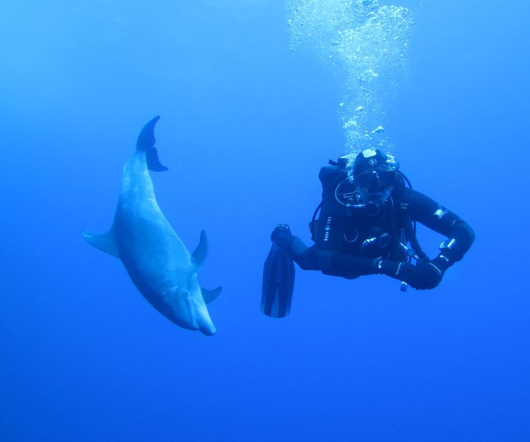 Курс PADI Open Water Diver