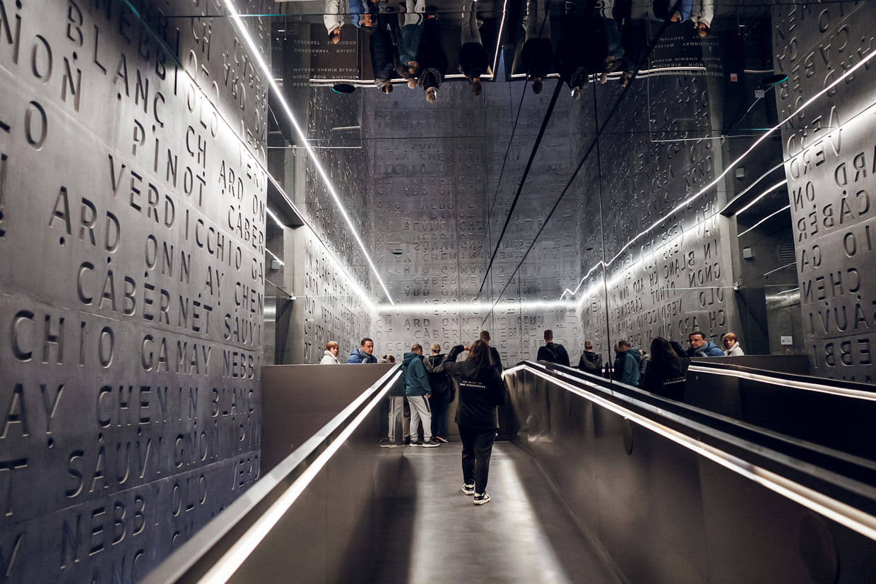 Экспресс-экскурсия по винодельне