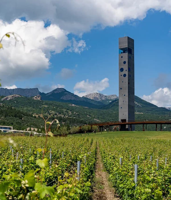 Винный парк