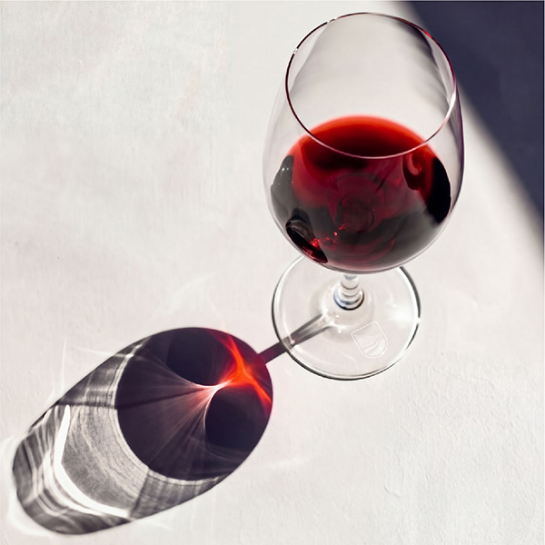 Первый открытый Кубок сомелье «Севастополь» и Салон вин в «Кубе» - 0