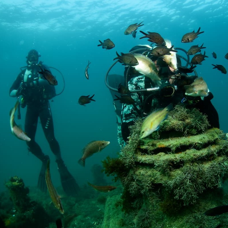 Дайв-тур с выездом за пределы отеля (2 погружения)