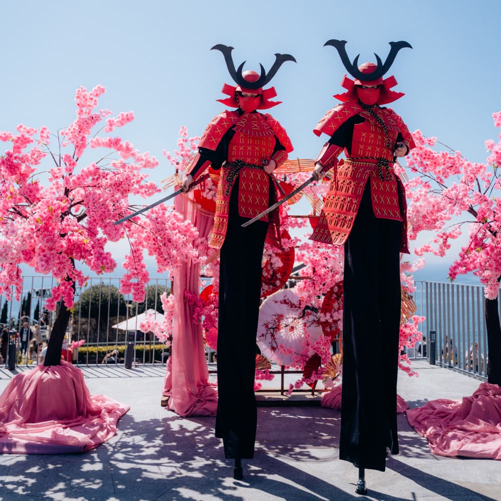 Фестиваль сакуры - 0 Фестиваль сакуры - 0