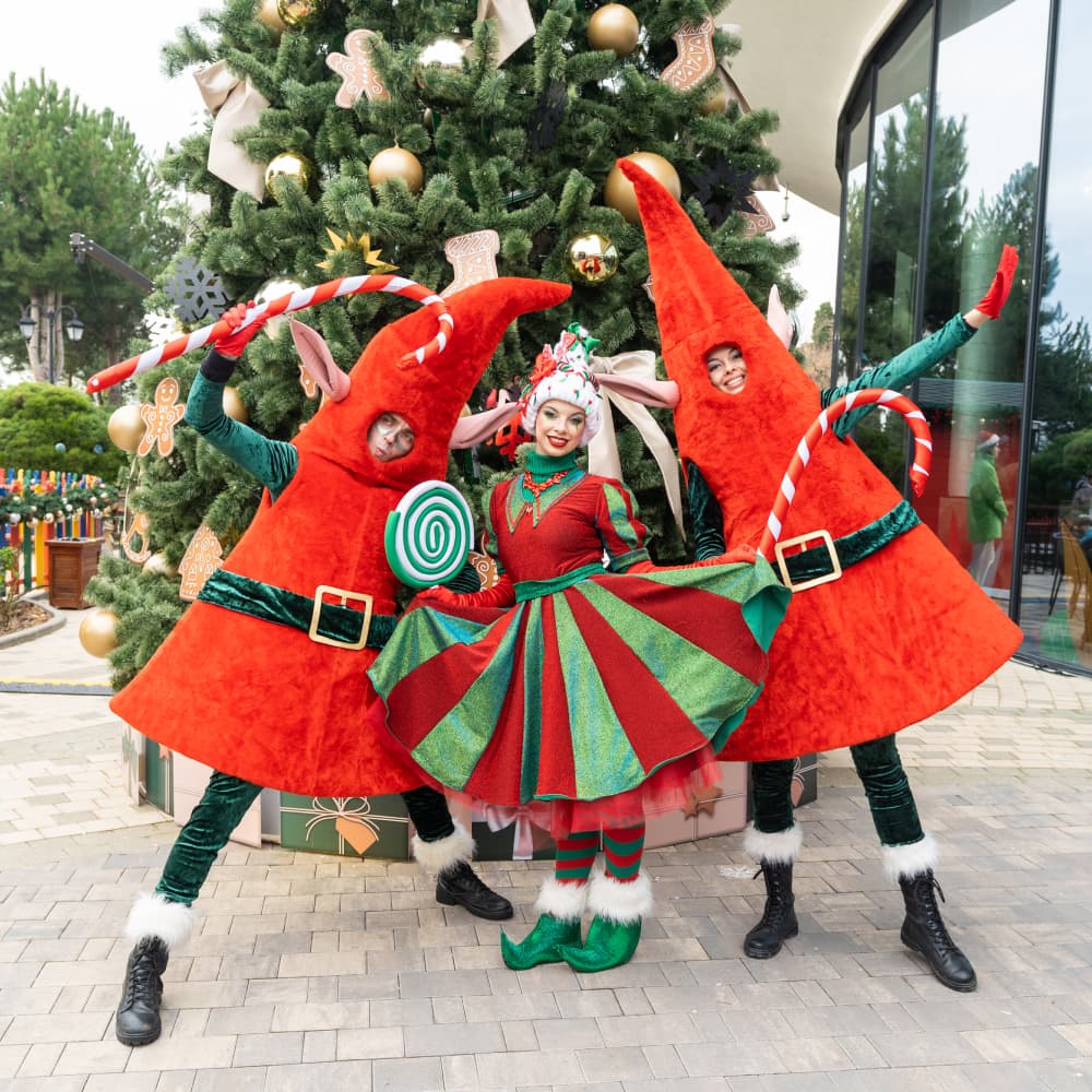 Новогодние каникулы в Дримвуд  - 0 Новогодние каникулы в Дримвуд  - 0