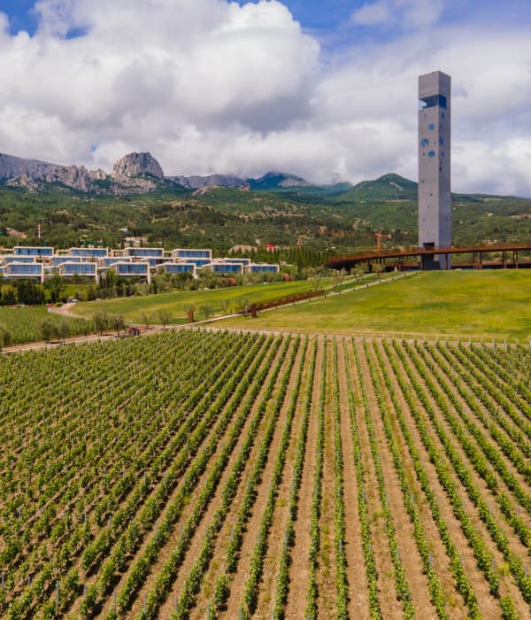 В Крыму выбрали лучших винных гидов по версии WINEPARK В Крыму выбрали лучших винных гидов по версии WINEPARK