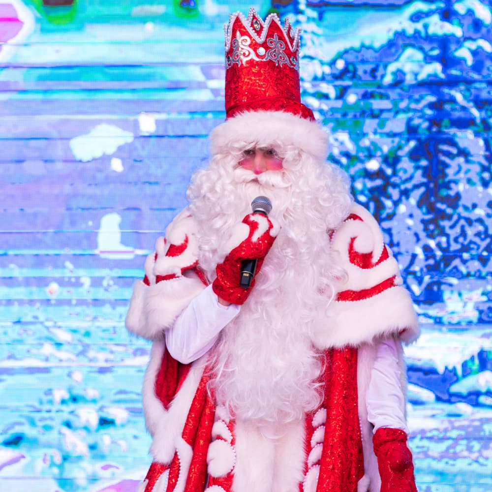 Новый год в парке Дримвуд - 0