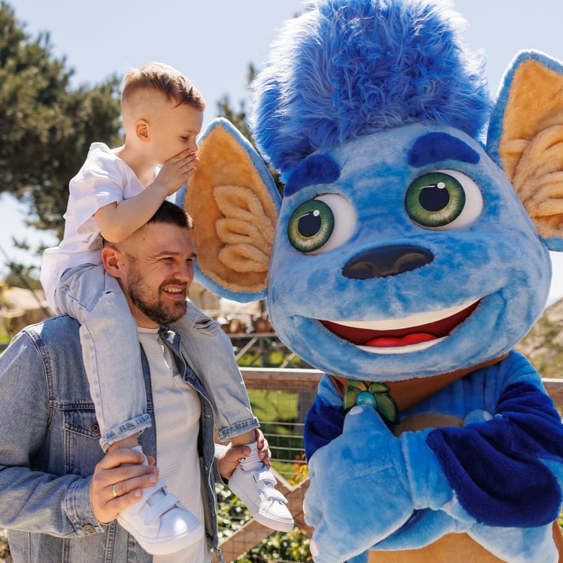 Мир! Май! Мечтай! - 0