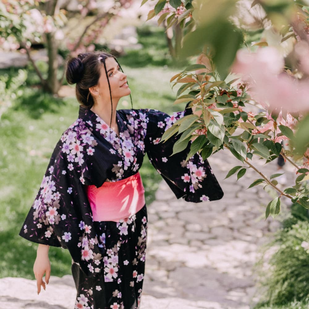 Любование цветением Сакуры - 0 Любование цветением Сакуры - 0