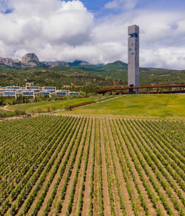 Дни российского виноделия в WINEPARK