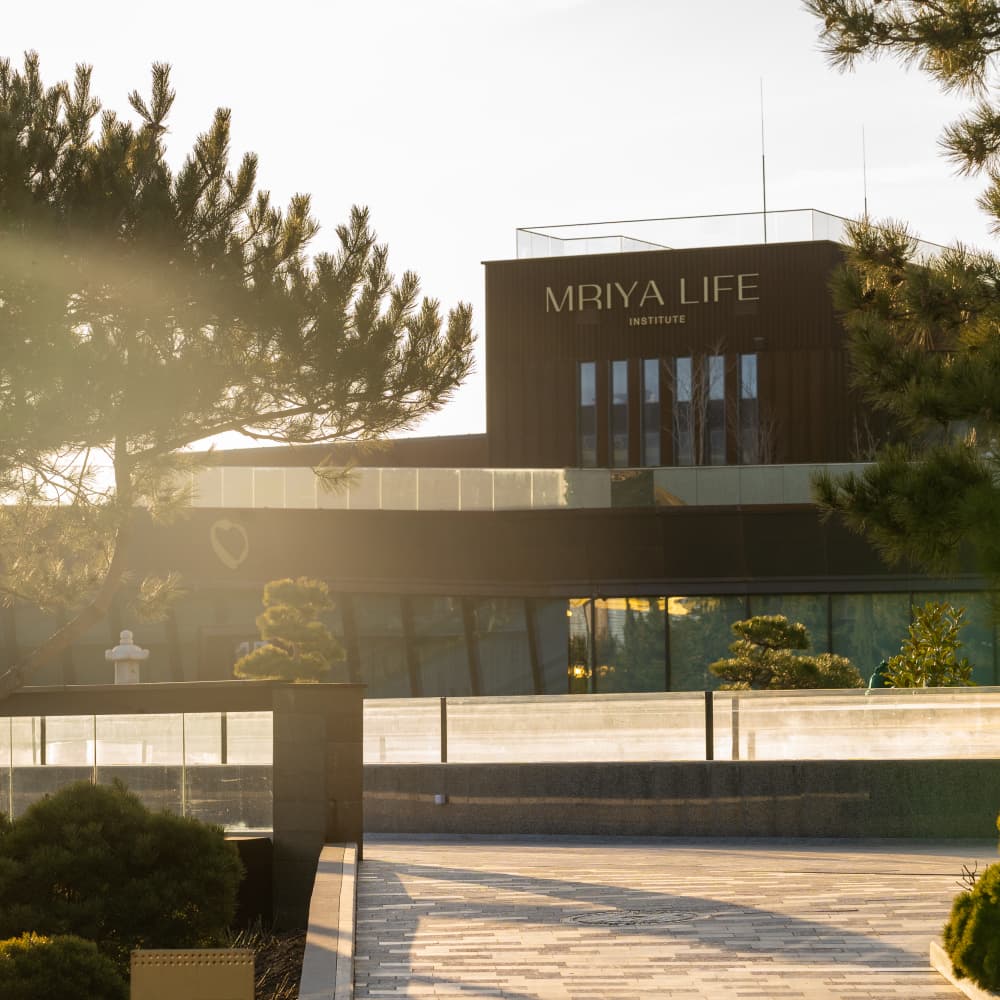 День рождения Института Активного Долголетия - 0