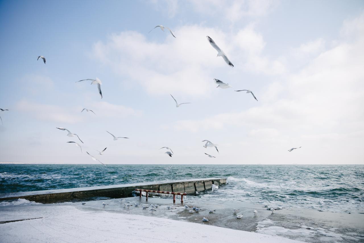 Черное море вне сезона: отдых без толп и суеты