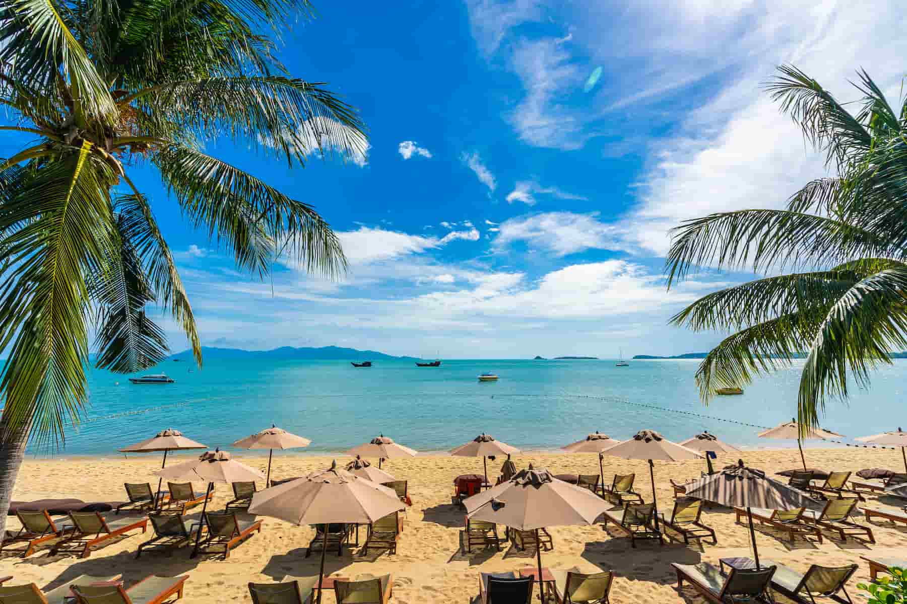 beautiful-tropical-beach-sea-ocean-with-coconut-palm-tree-umbrella-chair-blue-sky (1).jpg